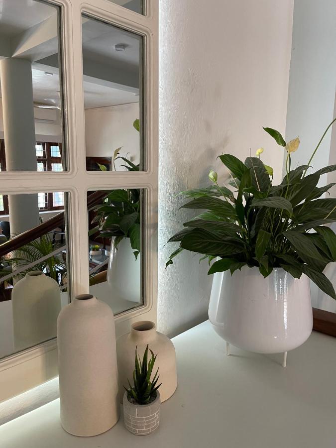 Himalayan Villa دهرادون المظهر الخارجي الصورة